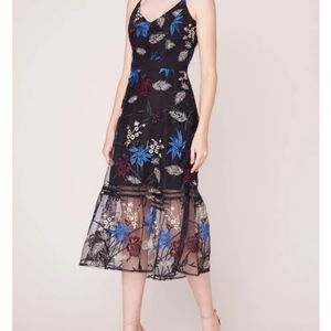 Dress BB Dakota, US 4, Thread Embroidered Mesh Midi, Medium